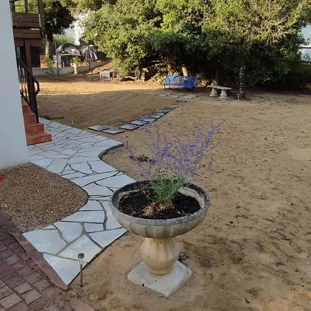 La Des Oiseaux Proche Villa
