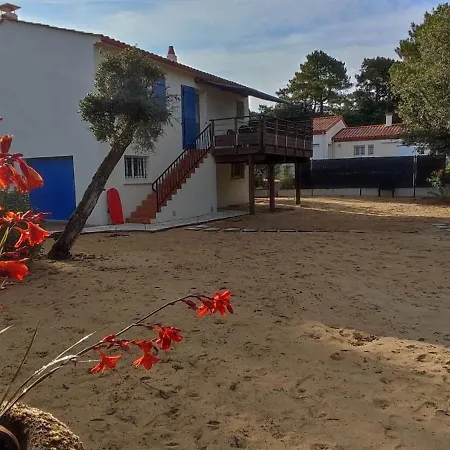 La Des Oiseaux Proche Vila *