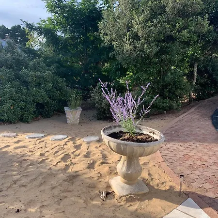 La Des Oiseaux Proche Vila