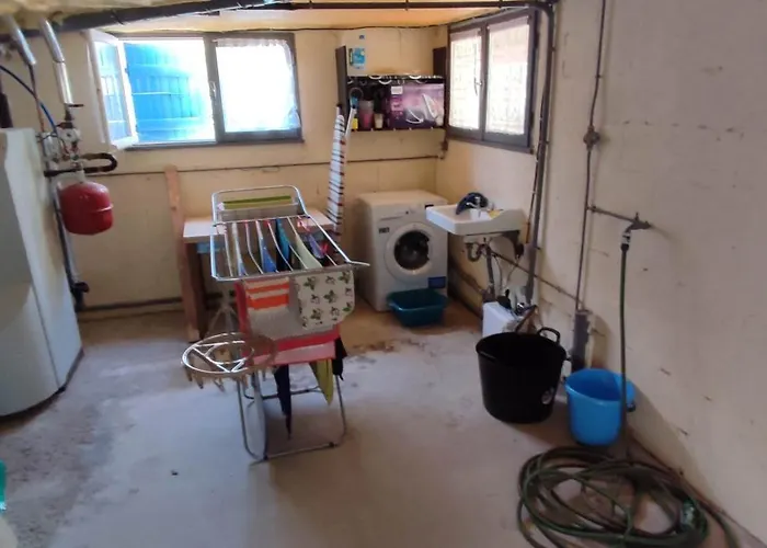 La Des Oiseaux Proche Longeville-sur-Mer