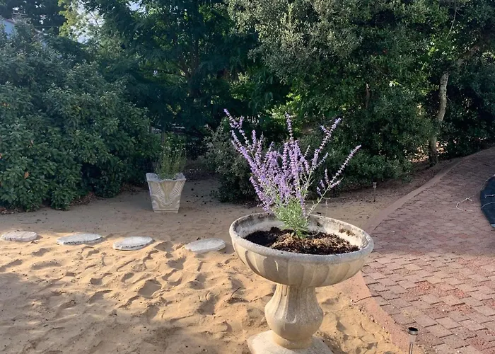 La Des Oiseaux Proche Villa